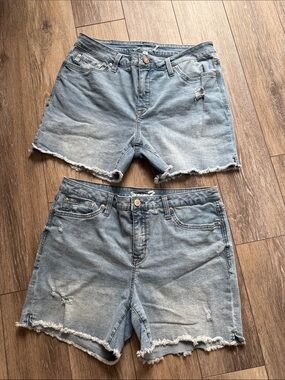 Seven7 Light Blue Distressed Denim Cutoff Shorts